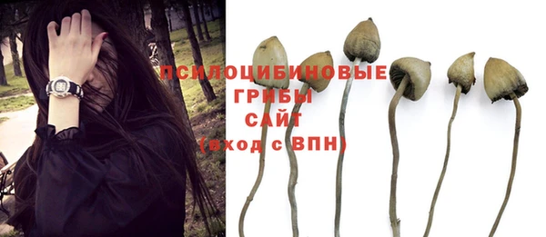 скорость Бородино