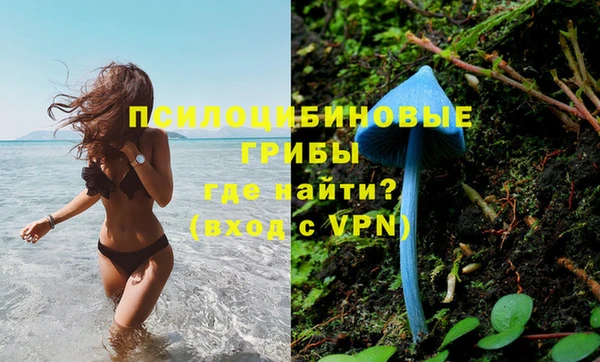 герыч Богородск