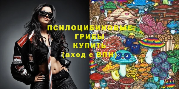 амф Бронницы