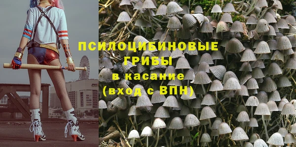 амф Бронницы